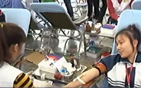 Nhiều hoạt động trong ngày quốc tế Người tình nguyện