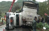 Tai nạn giao thông nghiệm trọng trên QL4D (Lào Cai), 2 người tử vong