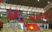 Hơn 1000 bạn trẻ tham gia Hội khỏe thanh niên Thủ đô 2015