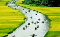 Hôm nay, Tràng An đón bằng di sản của UNESCO