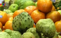 Chuyện về trái cây Việt Nam trên đất Mỹ
