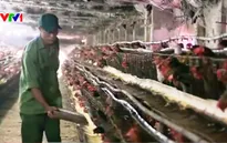 Chính sách vay vốn không cần thế chấp: Nhiều nông dân không biết