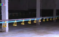Hàng loạt trang trại gà công nghiệp “treo” chuồng