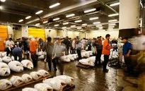 Tsukiji - Chợ cá tươi lớn nhất thế giới tại Nhật Bản