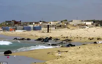 Phát hiện thêm 10 thi thể vụ chìm tàu chở người di cư ngoài khơi Libya