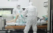 WHO và Hàn Quốc điều tra chung về sự lây lan của MERS