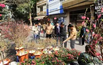 Diễn biến thời tiết trên cả nước 10 ngày dịp Tết Ất Mùi