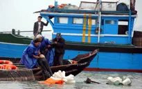 Chìm tàu câu mực ở Trường Sa: Toàn bộ ngư dân đã được cứu