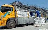 Lâm Đồng thu giữ gần 6 tấn phân bón giả