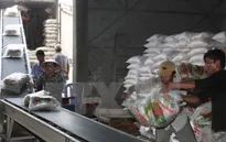 Xuất khẩu gạo 2015 của Việt Nam có khả năng đạt 6,8 triệu tấn