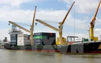 Cảng Hải Phòng đón mã hàng đầu tiên của năm mới 2015
