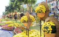 Rực rỡ đường hoa Tết Ất Mùi ở TP.HCM