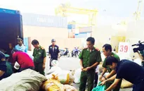 Phát hiện thêm hàng tấn ngà voi và vảy tê tê tại Cảng Tiên Sa