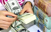 Vietcombank: NHNN điều chỉnh biên độ tỷ giá rất kịp thời