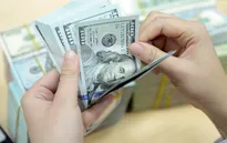 Năm 2015, tỷ giá USD bình quân trên thị trường tăng 3,16%