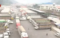 Bộ Công thương kiểm tra tình hình ùn tắc nông sản ở Lạng Sơn