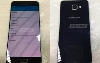 Samsung Galaxy A7 thế hệ mới lộ diện