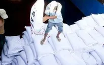 Hiệp hội Mía đường kiến nghị chưa nhập khẩu đường