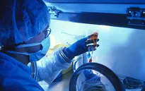 Mỹ phát triển vaccine mới chống ung thư tế bào hắc tố