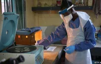Liberia bắt đầu thử nghiệm vaccine Ebola