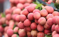 Vải thiều Việt Nam được thị trường nhiều nước đón nhận