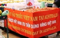 Ngày vải thiều Việt Nam tại Australia