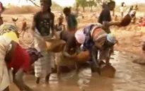 Trẻ em Mali bỏ học đi khai thác vàng