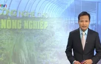 Ùn ứ dưa hấu ở cửa khẩu: Bài toán công nghệ cho nông nghiệp