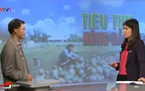 Tiêu thụ dưa hấu, hành tím: Không thể dựa mãi vào lòng trắc ẩn