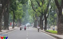 Bắc Bộ bớt hanh khô, Nam Bộ mưa về chiều tối