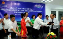Lâm Đồng tìm đầu ra cho nghề nuôi bò sữa