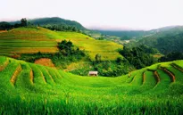 Báo Mỹ viết về những điều đáng để yêu mến ở Việt Nam