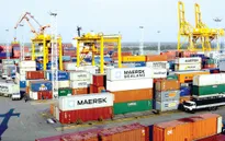 Cảng biển tiếp tục hấp dẫn nhà đầu tư trong nước
