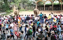 TP.HCM: Du khách đổ về các khu vui chơi giải trí