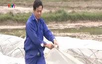 Xây dựng Nông thôn mới: Vai trò quan trọng của cán bộ cơ sở