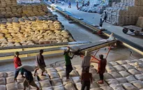 Quý I/2015, sản lượng xuất khẩu gạo sụt giảm mạnh