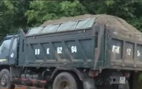 Sẽ thu hồi giấy phép kinh doanh với xe quá khổ, quá tải