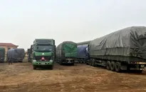 15 xe chở quá tải bị phạt gần 600 triệu đồng