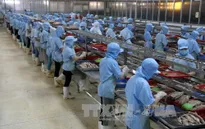 S&P: Kinh tế Việt Nam khởi sắc trong khi châu Á phát triển chậm lại
