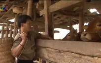 Tết ở xóm tái định cư thủy điện
