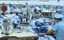 Cả nước có hơn 64.000 doanh nghiệp mới ra đời trong 7 tháng