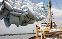 Thêm 2 ngân hàng được cho vay thu mua tạm trữ lúa gạo