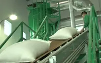 Xuất khẩu nông lâm thủy sản giảm 5%