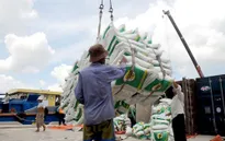 Xem xét bỏ thuế giá trị gia tăng 5% với gạo tiêu dùng trong nước