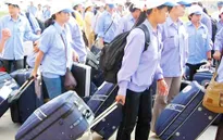 Bắt đối tượng giả danh luật sư lừa người xuất khẩu lao động