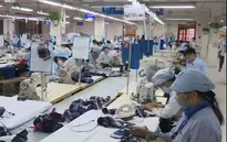 DN xuất khẩu Việt  gặp khó vì tỷ giá