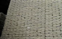 Nhật Bản đề xuất miễn thuế nhập khẩu đối với 70.000 tấn gạo Mỹ