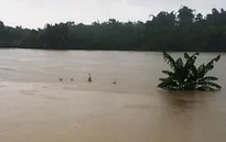 Mưa lớn, lũ trên các sông ở Bắc Bộ lên nhanh