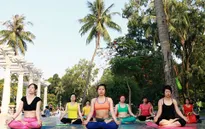 Yoga - môn thể thao có sức hút mạnh mẽ tại Việt Nam