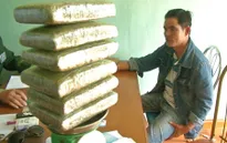 Bắt đối tượng vận chuyển 6kg cần sa ở biên giới Việt Nam - Lào